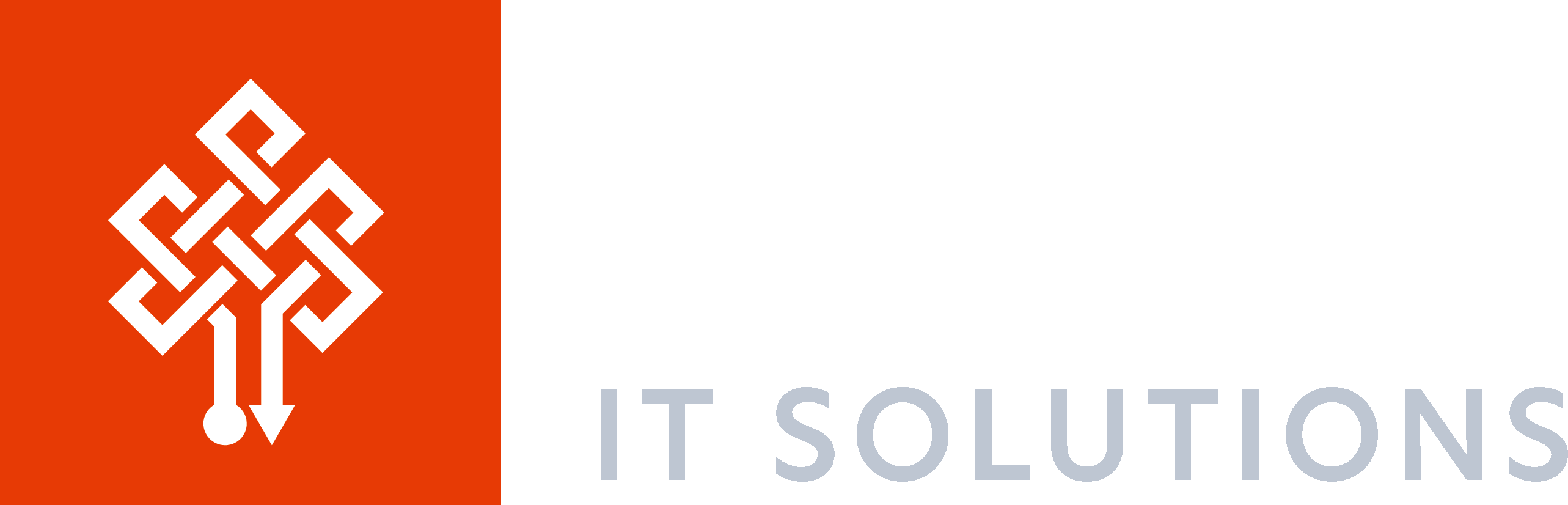 ACE-1 IT Solutions